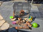 Hamster / knaagdier kooi compleet met accessoires zgan, Dieren en Toebehoren, Kooi, Minder dan 75 cm, Zo goed als nieuw, Muis