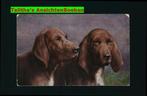 Prachtige ansichtkaart Hond (HO-25), Verzenden, 1920 tot 1940, Gelopen, Overige thema's