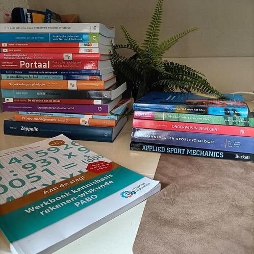 Studieboeken PABO en boeken ALO, Boeken, Studieboeken en Cursussen, Zo goed als nieuw, HBO, Beta, Ophalen