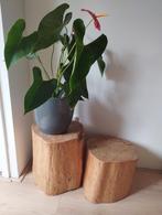 Boomstam tafel, Ophalen, Zo goed als nieuw