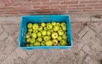 Apples Jonagold onbespoten handapples, Ophalen