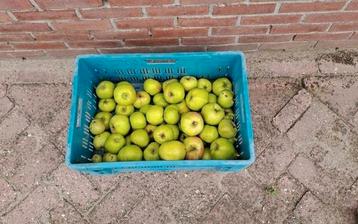 Apples Jonagold onbespoten handapples beschikbaar voor biedingen