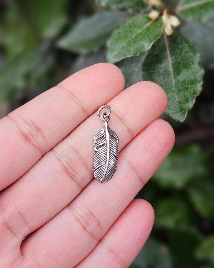 Veer Hanger Nyx - Echt Zilver, Sieraden, Tassen en Uiterlijk, Kettinghangers, Nieuw, Zilver, Zilver, Verzenden