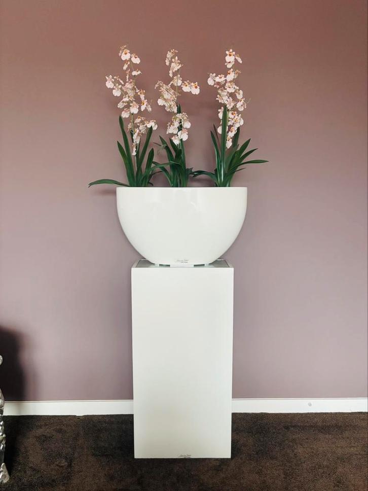 Hoogglans witte zuil met ovale bloempot / bloembak., Huis en Inrichting, Woonaccessoires | Zuilen en Pilaren, Gebruikt, Ophalen