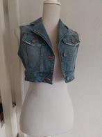 Spijker bolero maat Xs Eighty5, Blauw, Eighty5, Ophalen of Verzenden, Zo goed als nieuw