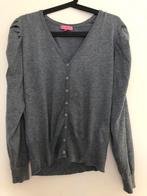 Grijs Basic Equipment vest maat L, Kleding | Dames, Verzenden, Basic Equipment, Maat 42/44 (L), Zo goed als nieuw