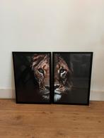 Posters Lion en Lioness (40x60 cm) incl lijsten PosterJunkie, Ophalen of Verzenden, Zo goed als nieuw, Minder dan 50 cm