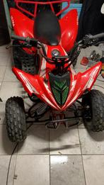 Raptor look ultra quad 125 cc, Ophalen of Verzenden, Gebruikt, Overige typen