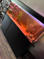 Mooie Grote Aquarium Compleet 370 Liter, Dieren en Toebehoren, Vissen | Aquaria en Toebehoren, Ophalen, Leeg aquarium