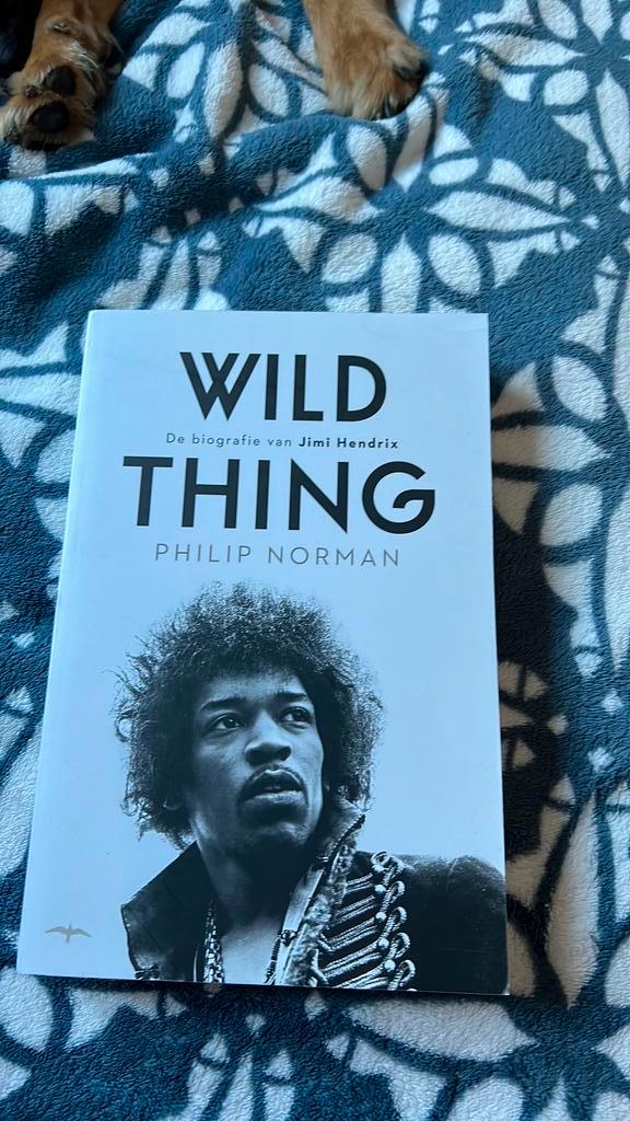 Jimi hendrix, Boeken, Biografieën, Zo goed als nieuw, Ophalen of Verzenden