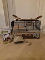 Glazen hamsterkooi met toebehoren, Ophalen of Verzenden, Minder dan 75 cm, Kooi, Minder dan 60 cm