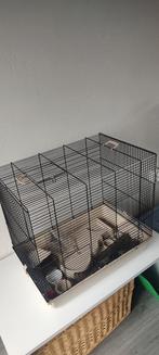 Hamsterkooi te koop, Dieren en Toebehoren, Knaagdieren, Voor 1 juli 2024