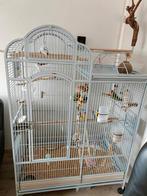 5 agapornis incl kooi., Dieren en Toebehoren, Vogels | Hokken en Kooien, Ophalen, Zo goed als nieuw, Vogelkooi