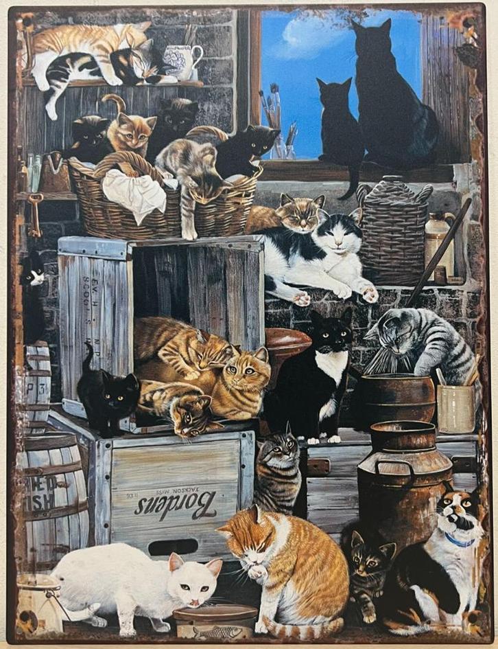 Katten poezen poes soorten reclamebord van metaal wandbord, Huis en Inrichting, Woonaccessoires | Wanddecoraties, Nieuw, Ophalen of Verzenden