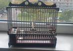 Zangkooi, Dieren en Toebehoren, Ophalen of Verzenden, Nieuw, Hout, Vogelkooi
