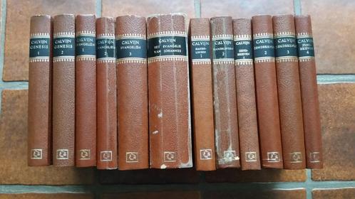 12 dln. Calvijns Bijbelverklaring - IN PRIJS VERLAAGD, Boeken, Godsdienst en Theologie, Gelezen, Christendom | Protestants, Ophalen of Verzenden