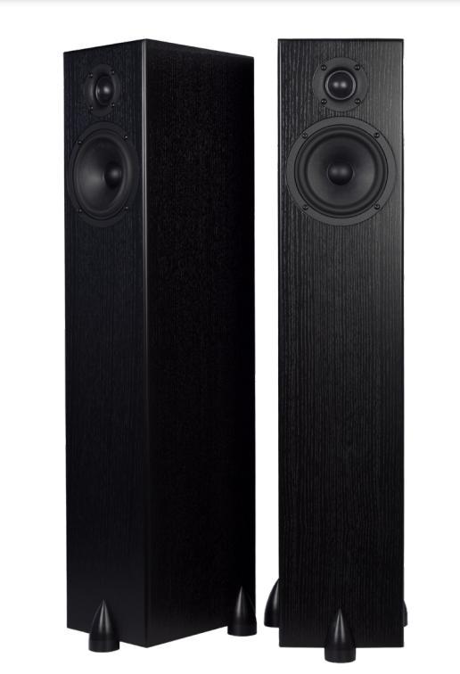 Totem Acoustic Bison Tower (Set van 2), Audio, Tv en Foto, Luidsprekers, Nieuw, Front, Rear of Stereo speakers, 120 watt of meer