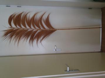 XXL decoratie waaier bamboe beschikbaar voor biedingen