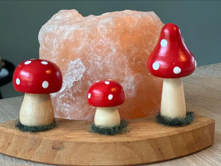 Paddenstoel steker jaarring grimms hout herfst per stuk, Hobby en Vrije tijd, Vilt, Nieuw, Figuurtje(s), Wolvilt, Ophalen of Verzenden