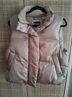 Bodywarmer levi's, Kleding | Dames, Bodywarmers, Maat 38/40 (M), Overige kleuren, Ophalen of Verzenden, Zo goed als nieuw