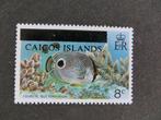 A09685: Turks & Caicos Islands  8 c, Ophalen of Verzenden, Noord-Amerika