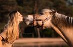 Bijrijder gezocht voor de liefste pony, Ophalen, Nieuw