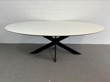 Mooie Fenix hpl ovale eettafel 220x115 met kring