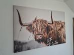 Schotse Hooglander foto op canvas 80x120cm, Ophalen, Zo goed als nieuw, 100 tot 125 cm, Foto of Poster
