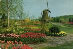 Tulipshow - Frans Roozen - Vogelenzang - 1965 gelopen, Ophalen of Verzenden, 1960 tot 1980, Gelopen, Overijssel