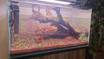 Aquarium led van chihiros wrgb 2- 60 slim, Dieren en Toebehoren, Vissen | Aquaria en Toebehoren, Ophalen of Verzenden, Zo goed als nieuw