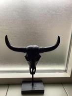 Stier Schedel op voet 24cm x 29cm,zie foto’s.   (Ophalen), Ophalen