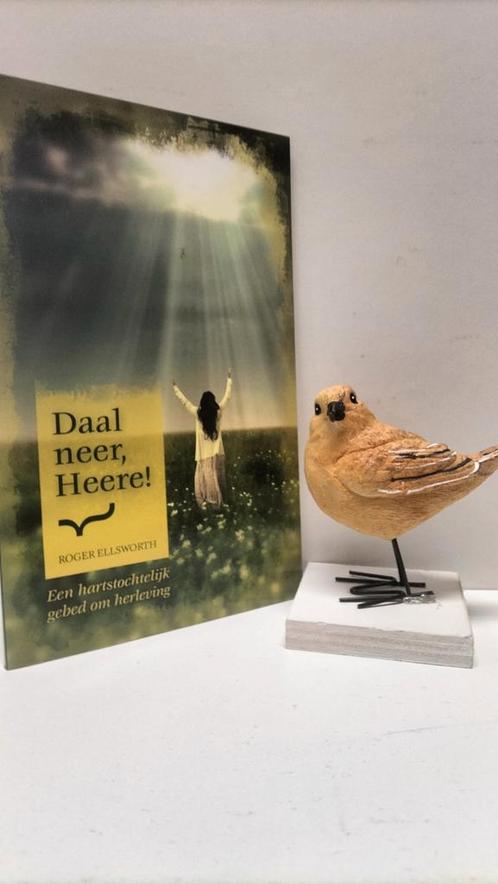 Ellsworth, Roger; Daal neer, Heere!, Boeken, Godsdienst en Theologie, Gelezen, Christendom | Protestants, Ophalen of Verzenden