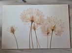canvas schilderij, Ophalen