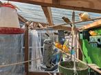 38 volière vogels, Dieren en Toebehoren, Meerdere dieren, Dwergpapegaai of Agapornis