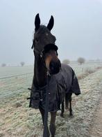 Gezocht! Pensionplek (omgeving Arnhem), Dieren en Toebehoren, Stalling en Weidegang, 1 paard of pony