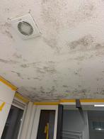 nette kitter en oplossing voor schimmel in badkamer, Diensten en Vakmensen, Klussers en Klusbedrijven, 24-uursservice