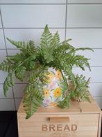 Prachtige varen kunstplant nieuw, Ophalen of Verzenden, Nieuw