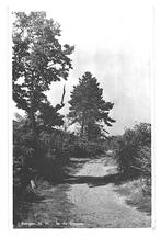 990467 Bergen 1952 NH Gelopen met postzegel Stempel Bergen, Ophalen of Verzenden, Gelopen, Noord-Holland