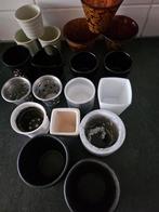 Stek/cactus potjes, Tuin en Terras, Rond, Ophalen of Verzenden, Aardewerk, Minder dan 40 cm