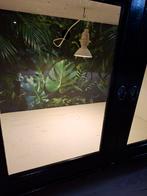 Kweekkas met groeilamp, Ophalen