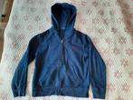 Polo Ralph Lauren hoodie, maat 146, Trui of Vest, Ophalen of Verzenden, Zo goed als nieuw, Polo Ralph Lauren