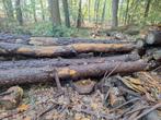 Naaldhout Stammen, Doe-het-zelf en Verbouw, Hout en Planken, 25 tot 50 mm, Overige typen, Nieuw, Ophalen of Verzenden