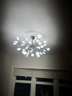 Nieuwe Plafondlamp - vuurvlieg / firefly Heracleum Stijl, Huis en Inrichting, Ophalen, Nieuw, Metaal