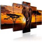 385 Olifant Afrika 5 Luik Canvas Schilderij 200x100cm, Ophalen of Verzenden