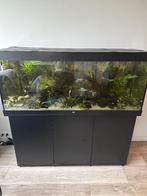Juwel 450 compleet!, Ophalen, Zo goed als nieuw, Gevuld zoetwateraquarium