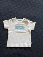 T-shirt Noppies, Gebruikt, Ophalen of Verzenden, Jongetje, Noppies