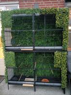 Dubbele uitvliegkooi te verdelen evt in 4 kooien, Dieren en Toebehoren, Vogels | Hokken en Kooien, Ophalen, Zo goed als nieuw