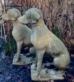 * stenen Jachthond tuinbeeld zittende hond buste Tuinvaas, Tuin en Terras, Tuinbeelden, Beton, Zo goed als nieuw, Ophalen, Dierenbeeld