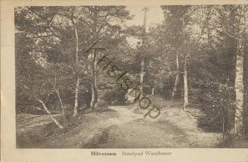 Hilversum - Boschpad Waschmeer [KRST005-3674 beschikbaar voor biedingen