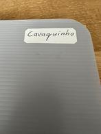 Bladmuziek accordeon “Cavaquinho”, Muziek en Instrumenten, Bladmuziek, Ophalen of Verzenden, Zo goed als nieuw, Artiest of Componist
